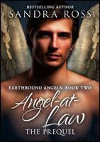 Angel-at-Law: The Prequel