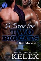 A Bear for Two Big Cats