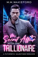 My Secret Affair With the Trillionaire